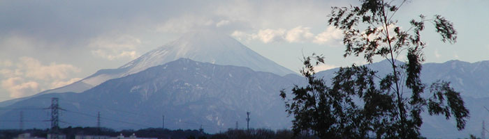 ���l����̕x�m�R