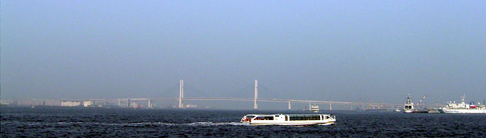 ���l�x�C�u���b�W�A�V�[�o�X